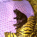 ���� �����, �������� - ��������� 22 ������ 2010 � ������ ���������� ������