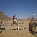 ������. �� ������� ���� ����������