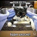 ���� Gnom, ���������, 39 ��� - ��������� 28 ������ 2010 � ������ �������� � ��������� ;-)�