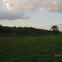 ���� ��������, ������, 46 ��� - ��������� 31 ������ 2011 � ������ ������������