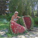 ���� ��������, �������� - ��������� 12 ������� 2012 � ������ ���� ����������