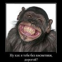 ���� ������, �����������, 41 ��� - ��������� 9 ������� 2012 � ������ ���� ����������