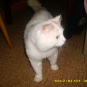 ���� ���������, ������, 47 ��� - ��������� 9 ��� 2012 � ������ ���� ����������