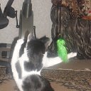 ���� ����, ������ - ��������� 11 ���� 2010 � ������ ������