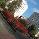 2009 ��� �� ������� ������ � ������