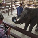 ���� ������, ������ ��������, 54 ���� - ��������� 5 ������ 2012 � ������ �������