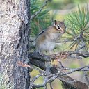 ���� ���������, ���������, 50 ��� - ��������� 13 ������� 2012 � ������ ���� ����������