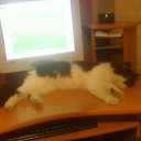 ���� ���� ��, �������, 49 ��� - ��������� 15 ������ 2011 � ������ ���� ���.�