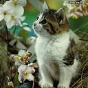 ���� ���������, ������, 49 ��� - ��������� 30 ����� 2013