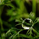 ���� ��������, �������, 58 ��� - ��������� 20 ������ 2012 � ������ �������