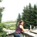 ���� ��������, ���������, 41 ��� - ��������� 1 ���� 2011 � ������ ���� ����������