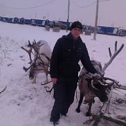 �������, 51 ���, ���