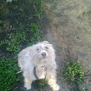 ���� ˸��, �����, 55 ��� - ��������� 26 ��� 2012 � ������ ���� ����������