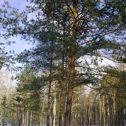 ���� �����, ������������, 51 ��� - ��������� 12 ������ 2010