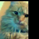 ���� ����, ���������, 22 ���� - ��������� 23 ������� 2013 � ������ ���������� ������