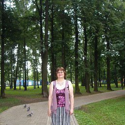 ����� ���������, ������, 65 ���