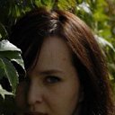 ���� �����, ���������� - ��������� 29 ��� 2013 � ������ ���� ����������