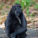 ���� �������, �����-���������, 60 ��� - ��������� 22 ������ 2011 � ������ ���� ����������