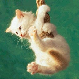 ���� ���������, ��������, 40 ��� - ��������� 9 ���� 2013