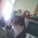 ��� ��� ���� �� ������� ����� ��� ������������