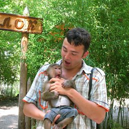 ���� �����, ������, 43 ���� - ��������� 22 ���� 2009