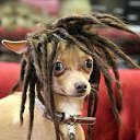 ���� ����� - ���������� ��������!!!, �����������, 56 ��� - ��������� 10 ������ 2010 � ������ �������