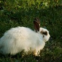 ���� �������, ������� ����, 64 ���� - ��������� 14 ������� 2011 � ������ �����������....�