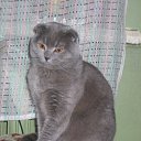 ���� �������, ������ - ��������� 17 ������� 2011