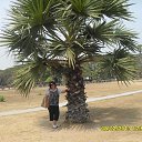 ���� �����, ����������, 60 ��� - ��������� 21 ������� 2013 � ������ �������� ������� 2013�