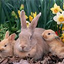 ���� Katy, ������������ - ��������� 16 ��� 2010 � ������ �������