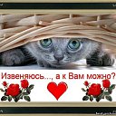 ���� ����, ������������, 56 ��� - ��������� 19 ���� 2012 � ������ �������