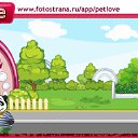  ion@(   ),  -  26  2010   PetLove