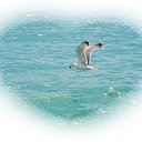 ���� �������, ������ - ��������� 24 ���� 2013 � ������ ���� ����������