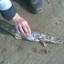 ���� ���������, ����, 57 ��� - ��������� 28 ����� 2012 � ������ ���� ����������