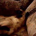 ���� ���@����@, �������, 49 ��� - ��������� 23 ������� 2010 � ������ ���� �����