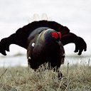 ������� �� ������� ��������