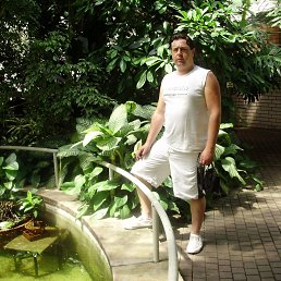 ���� ����, �����, 50 ��� - ��������� 24 ������� 2012