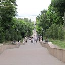  , , 40  -  22  2013    ,,  2013