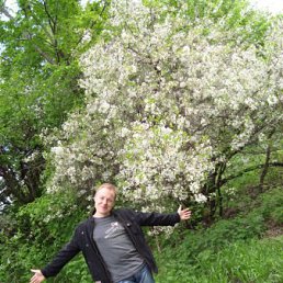 ���� �������, ������, 47 ��� - ��������� 9 ���� 2013