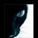 ���� ������ �������, ��������, 41 ��� - ��������� 7 ������� 2012 � ������ �������