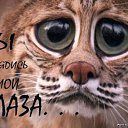 ���� ���������, ���������, 47 ��� - ��������� 29 ���� 2010 � ������ �������