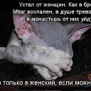 ���� �������, ������, 48 ��� - ��������� 3 ������� 2009 � ������ �������