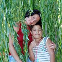 плакучая ива �� ������� ���� ����������