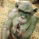 ���� ����� - ���������� ��������!!!, �����������, 56 ��� - ��������� 13 ������� 2009 � ������ ��������� (�����)�