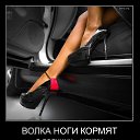 ���� ***����***, �������� - ��������� 16 ������� 2013 � ������ ���� ������.�