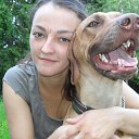 ���� �������, ������, 36 ��� - ��������� 17 ������� 2013 � ������ ���� ����������