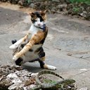 ���������� ���� ��������� �� ������� ����������� :-)�