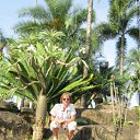 ���� ������ - ����, ������������, 54 ���� - ��������� 6 ���� 2012 � ������ ���� ����������