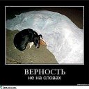 ���� �������� �������� �� � �� �������., ������, 64 ���� - ��������� 20 ������ 2012 � ������ ��������