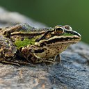 ���� �������, ������������, 64 ���� - ��������� 12 ���� 2013 � ������ ���� ����������